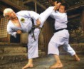 /album/fotogaleria-karate-gojo-ryu/zenpo-zenshun-jpg/