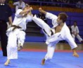 /album/fotogaleria-czego-uczy-karate-/indeks-jpg3/